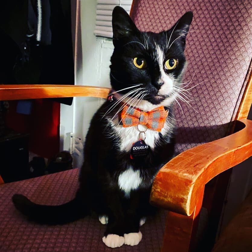 This incredibly handsome boy and I have been together for a whole year, as of today! 🧡🧡🧡